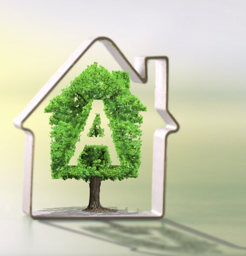 Grüner Baum mit "A"-Zeichen in Hauszeichnung