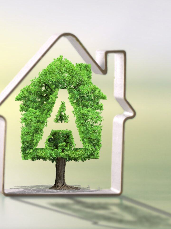 Grüner Baum mit "A"-Zeichen in Hauszeichnung