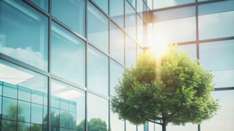Grüner Baum vor moderner Glasfassade – Symbol für energieeffiziente Heizungs-, Lüftungs- und Klimaanlagen in Bürogebäuden