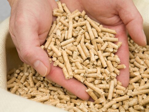 Zwei Hände halten sorgfältig eine Menge Holzpellets