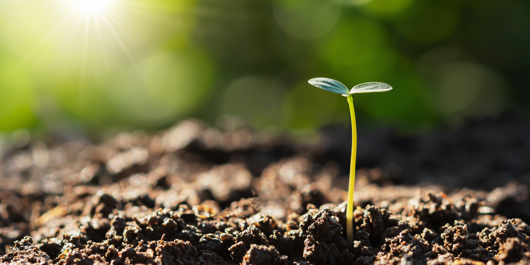 Der bösch Wald: Gemeinsam nachhaltig wachsen. | © lovelyday12 - stock.adobe.com