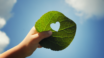 Die beliebte Förderung "Raus aus Öl und Gas" wird bis 2025 fortgesetzt. | © bösch heizung.klima.lüftung